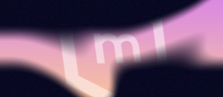 L'image de l'article